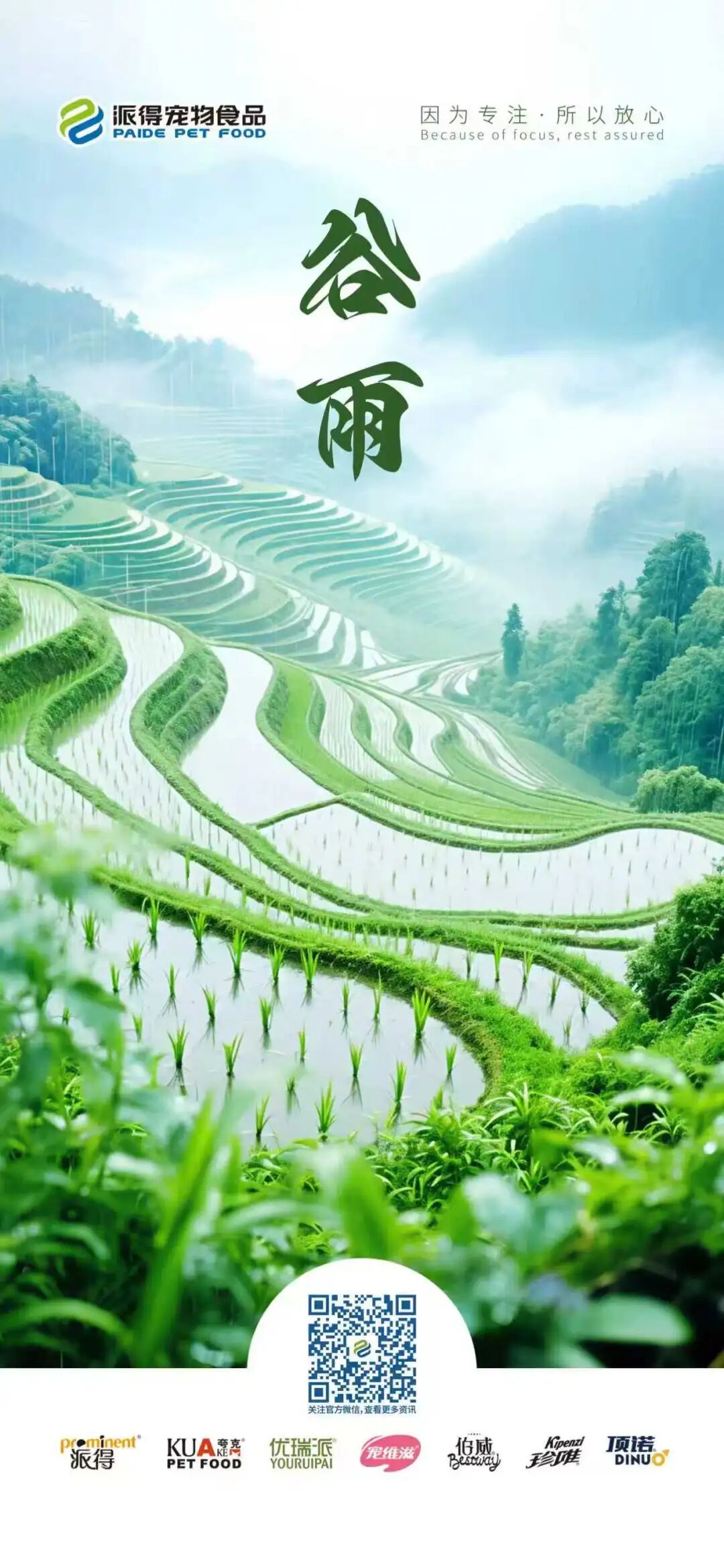 雨润万物百谷生  生活向暖夏渐行